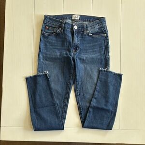 Hudson Jeans Blue Skinny Denim